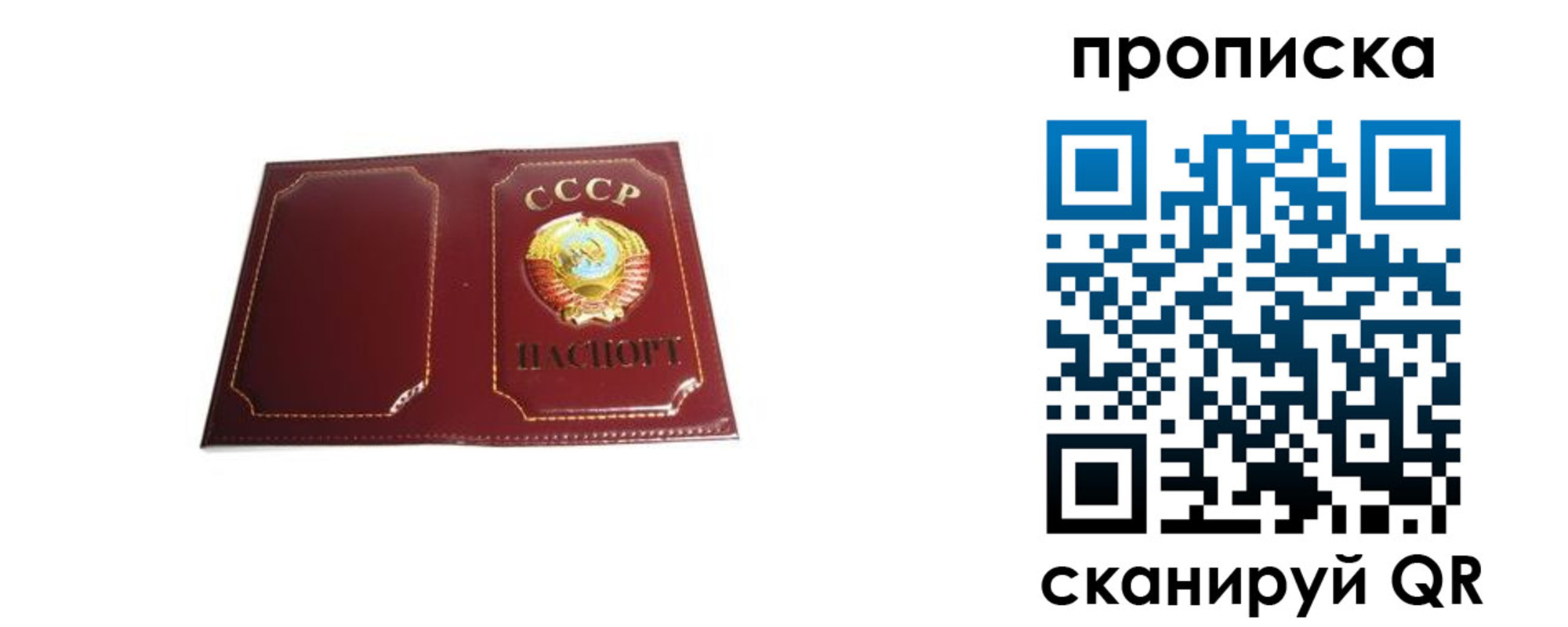 прописка гарантия в Истре